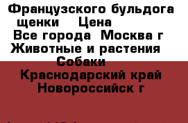 Французского бульдога щенки  › Цена ­ 35 000 - Все города, Москва г. Животные и растения » Собаки   . Краснодарский край,Новороссийск г.